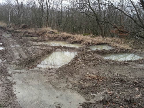 Ein Lebensraum der Gelbbauchunke: Rohbodentümpel als Laichgewässer.  